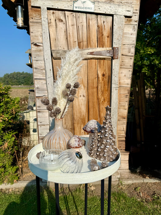 Tafeldecoratie set Paddenstoelen
