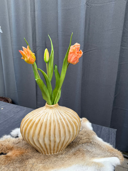 Papegaai tulpen Oranje