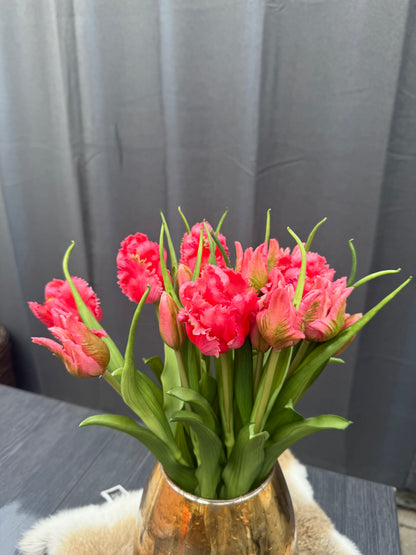 Papegaai tulpen Roos