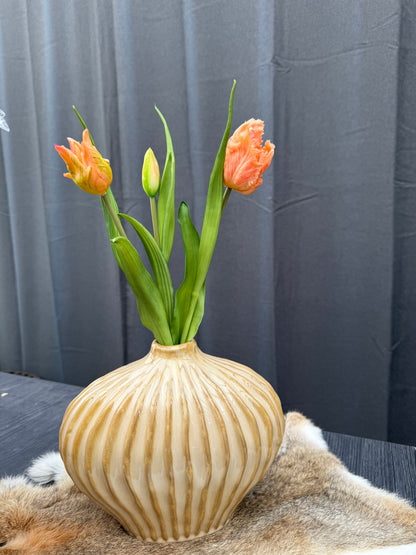 Papegaai tulpen Oranje