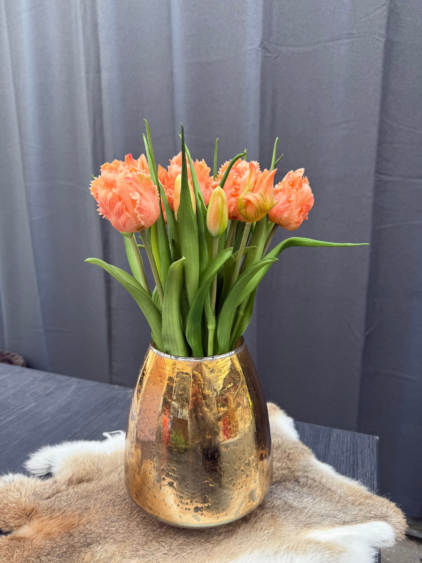 Papegaai tulpen Oranje