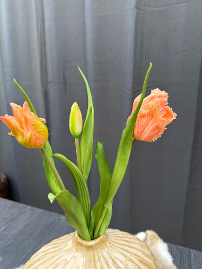 Papegaai tulpen Oranje