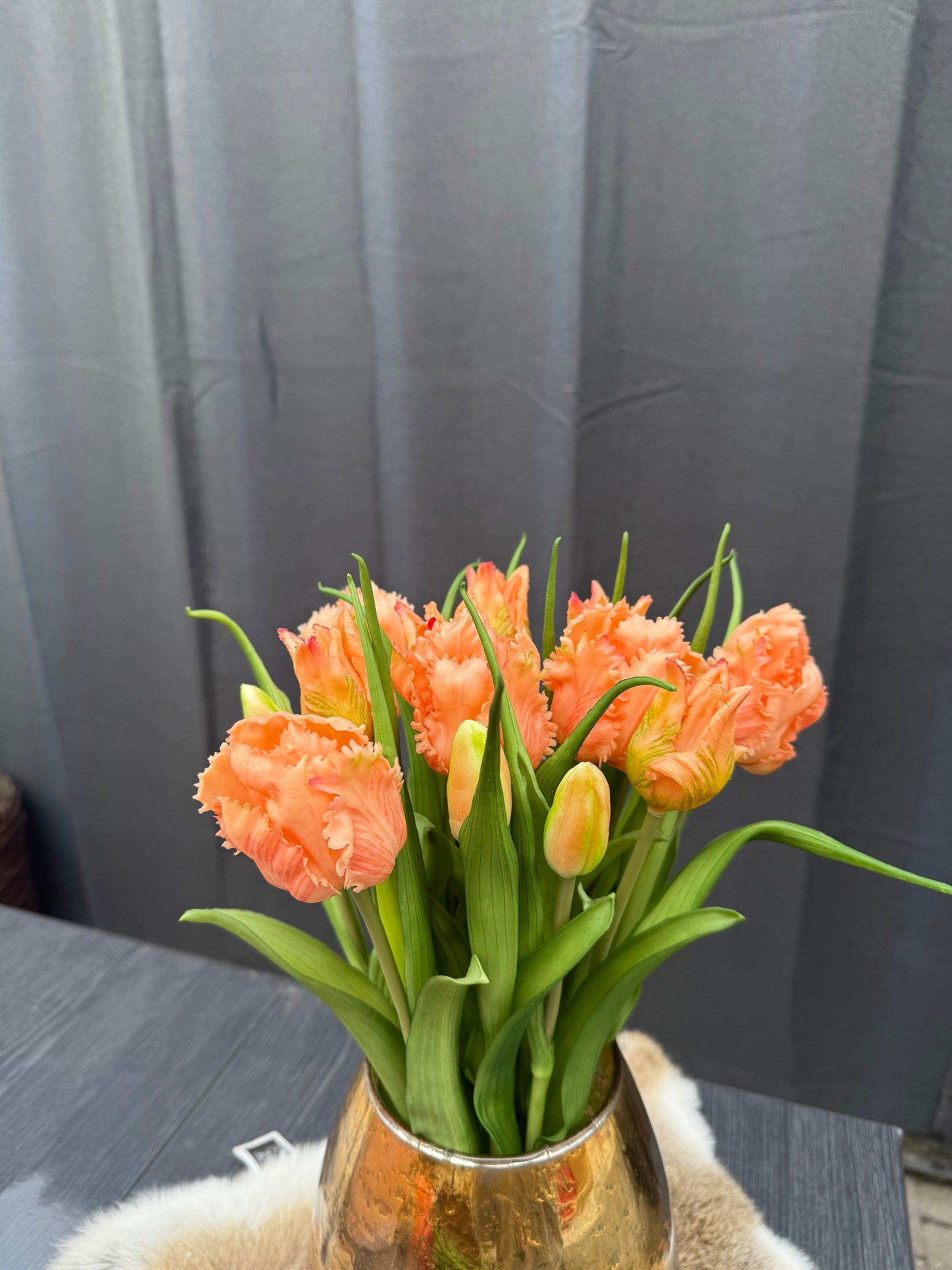 Papegaai tulpen Oranje