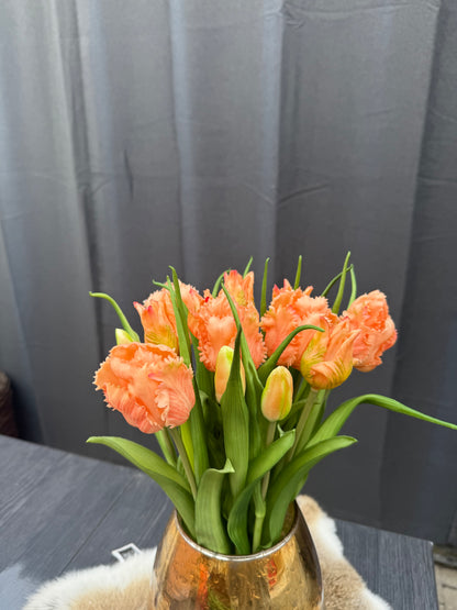 Papegaai tulpen Oranje