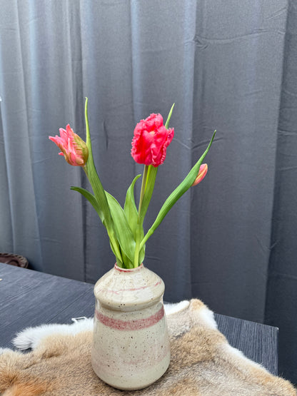 Papegaai tulpen Roos