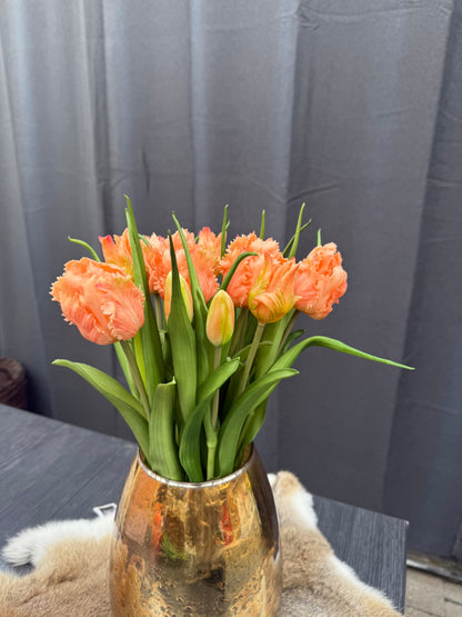 Papegaai tulpen Oranje
