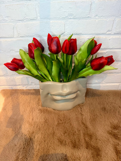 Tulpen rood