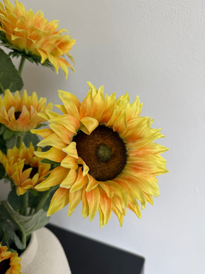 Grote zonnenbloem